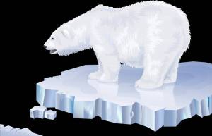 Раскраска белый медведь для детей на льдине #21 #215717