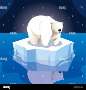 Раскраска белый медведь для детей на льдине #22 #215718