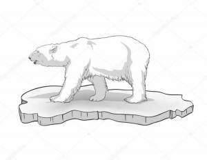 Раскраска белый медведь для детей на льдине #23 #215719