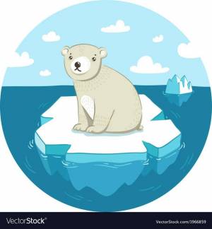 Раскраска белый медведь для детей на льдине #27 #215723