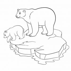 Раскраска белый медведь для детей на льдине #28 #215724