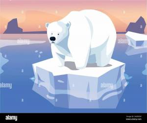 Раскраска белый медведь для детей на льдине #33 #215729