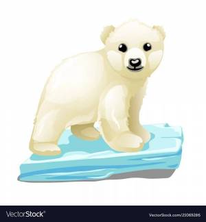 Раскраска белый медведь для детей на льдине #37 #215733