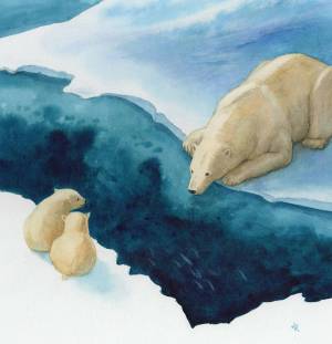 Раскраска белый медведь на льдине #11 #215745