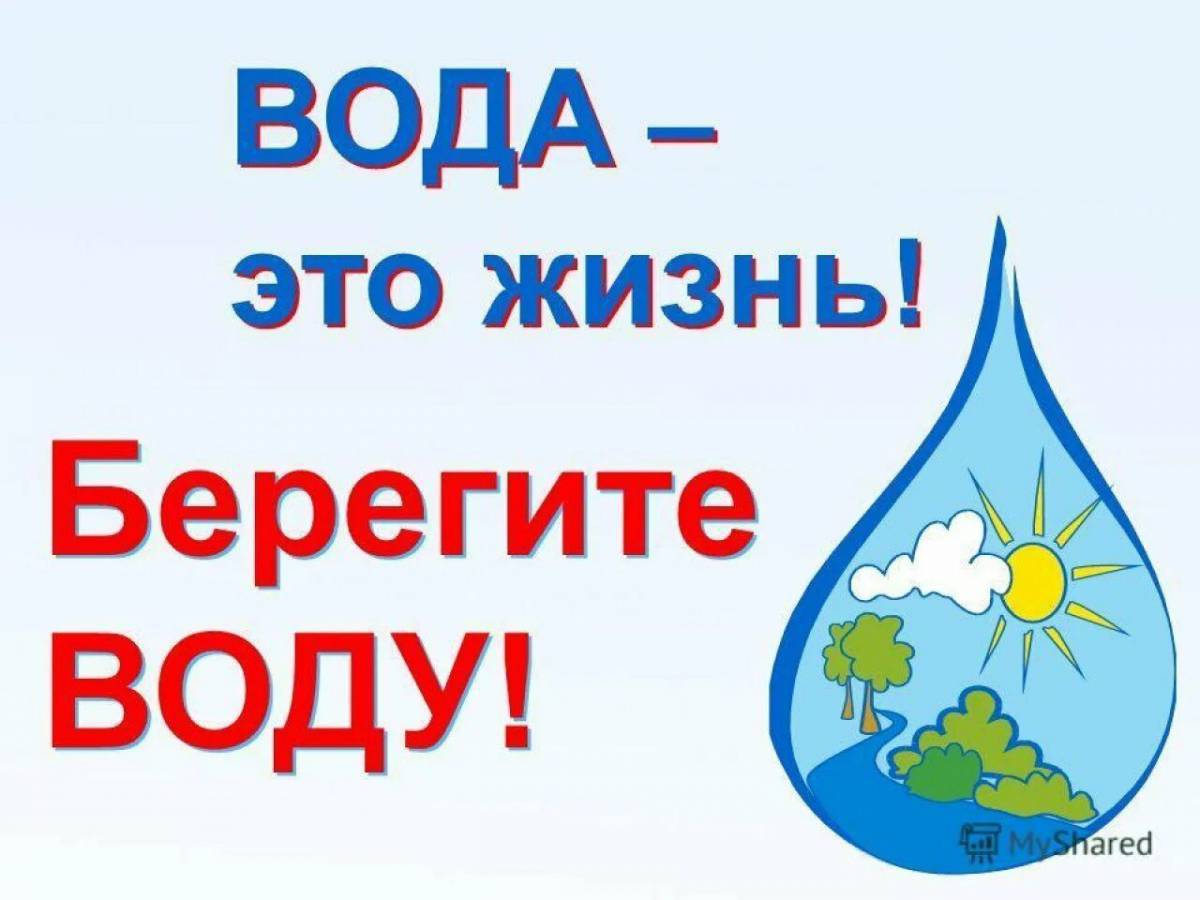 Проект берегите воду