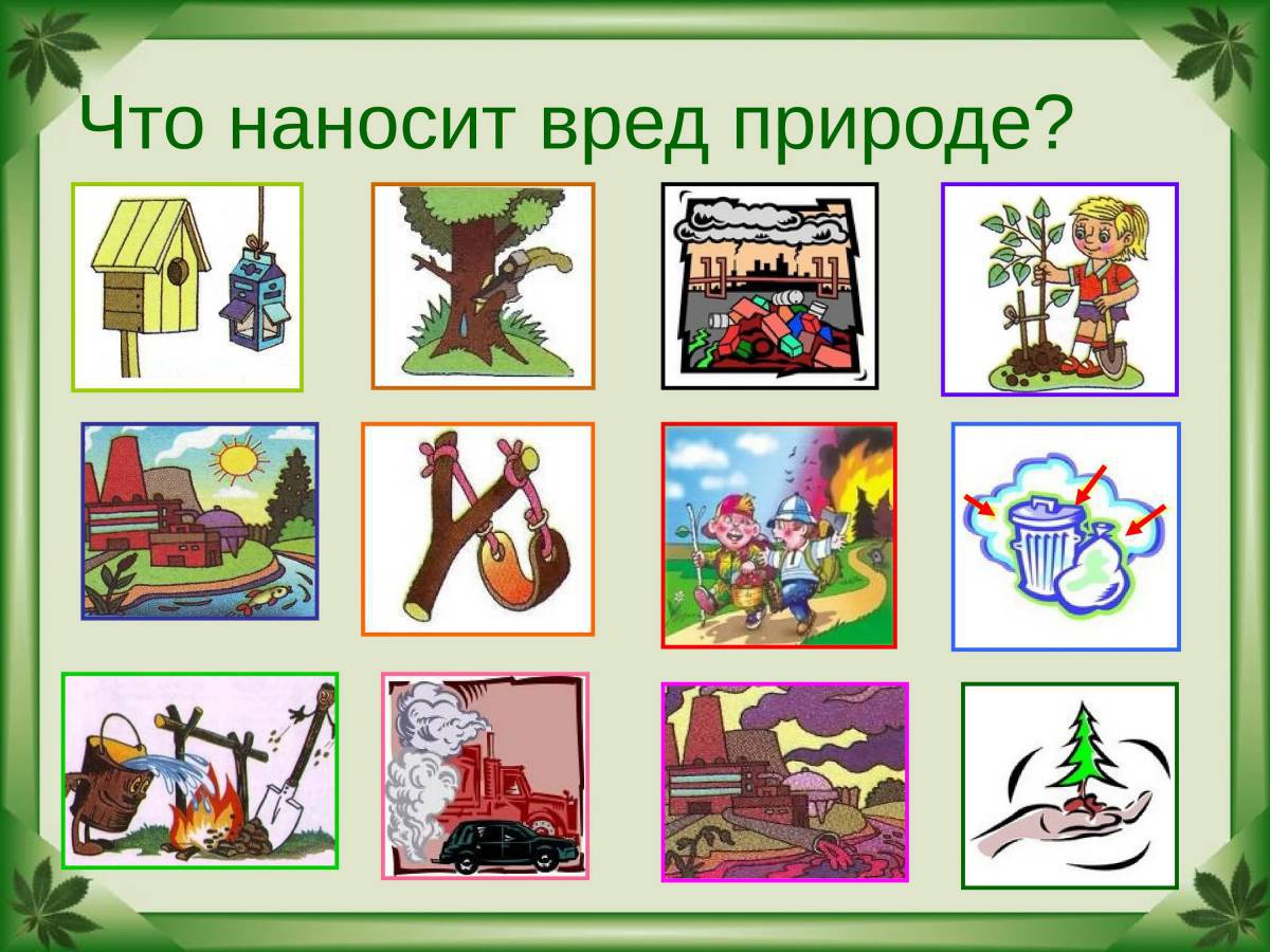 картинки по экологии для детей школьного возраста
