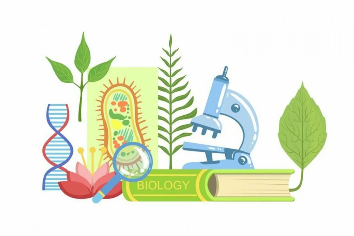 Биология картинки для презентации