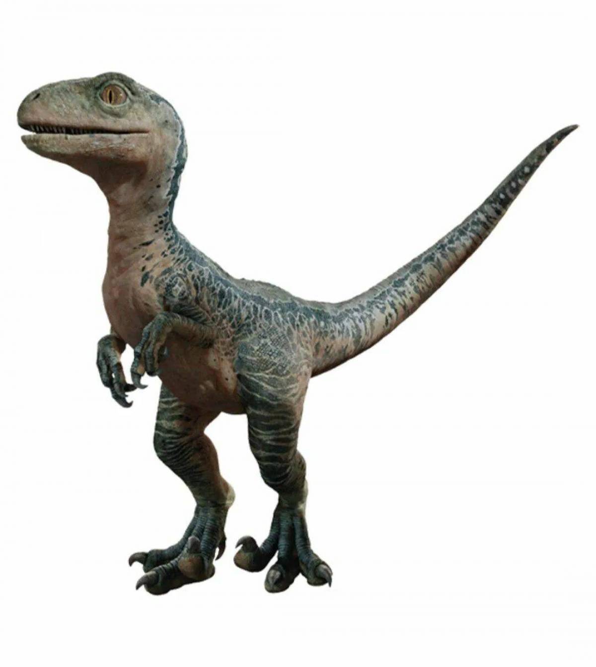 Блю динозавр #19