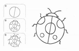 Раскраска божья коровка для детей 4 5 лет #22 #219885