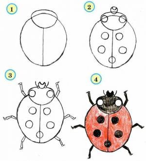 Раскраска божья коровка для детей 5 6 лет #22 #219921