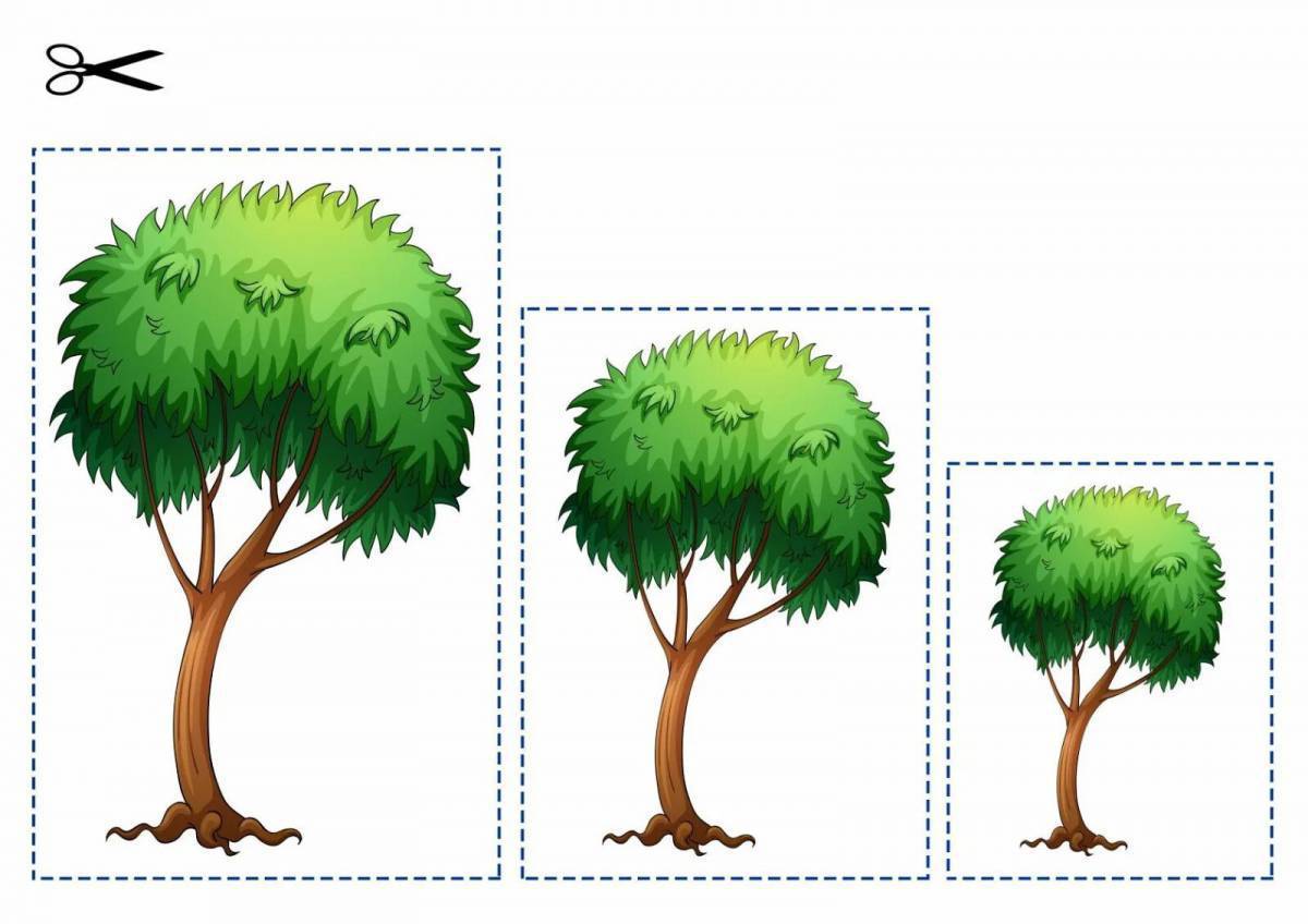 Большой картинка для детей. Большой, средний, маленький. Деревья разного размера. Раздаточный материал деревья. Большое и маленькое дерево.