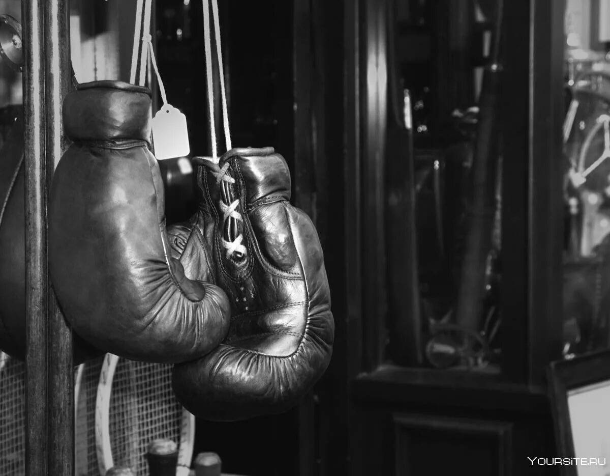Боксерские перчатки #20