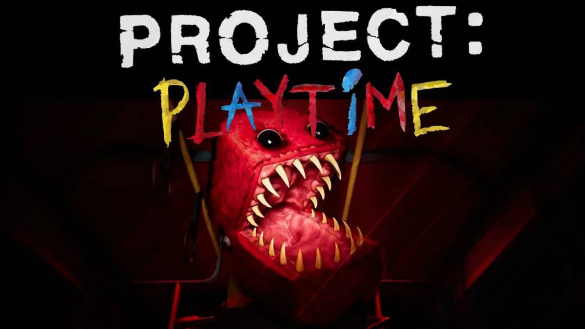 Бокси бу project playtime #19