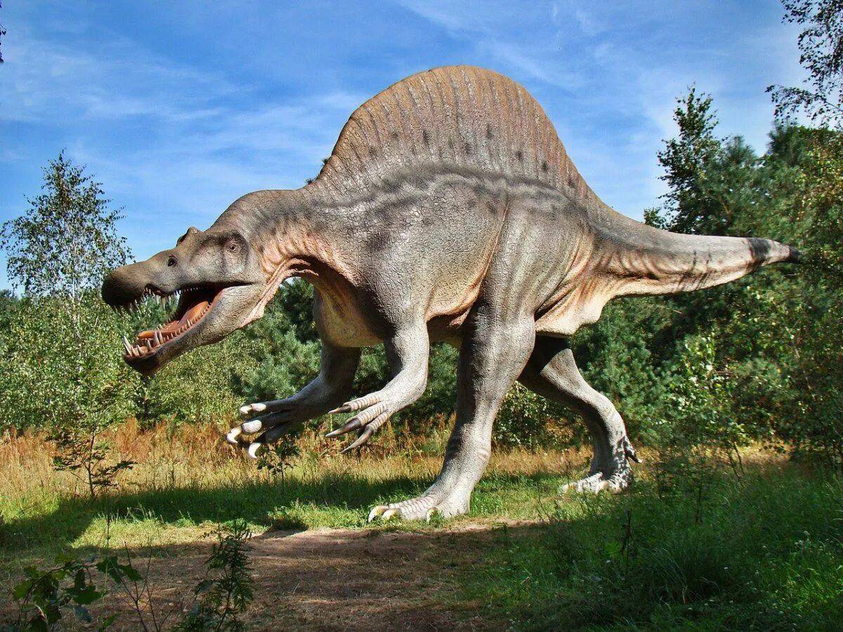 Большая динозавры #10