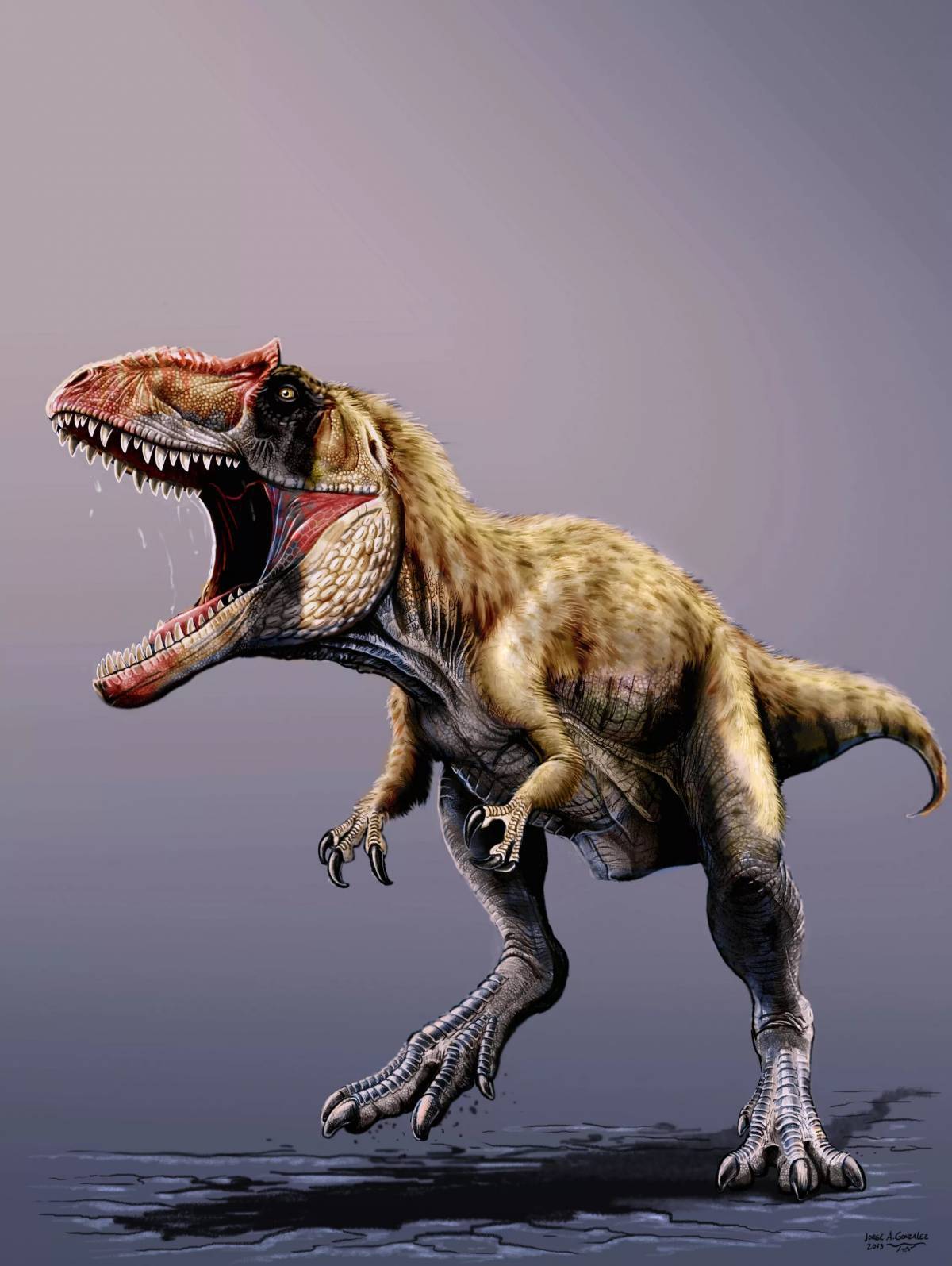 Большая динозавры #11