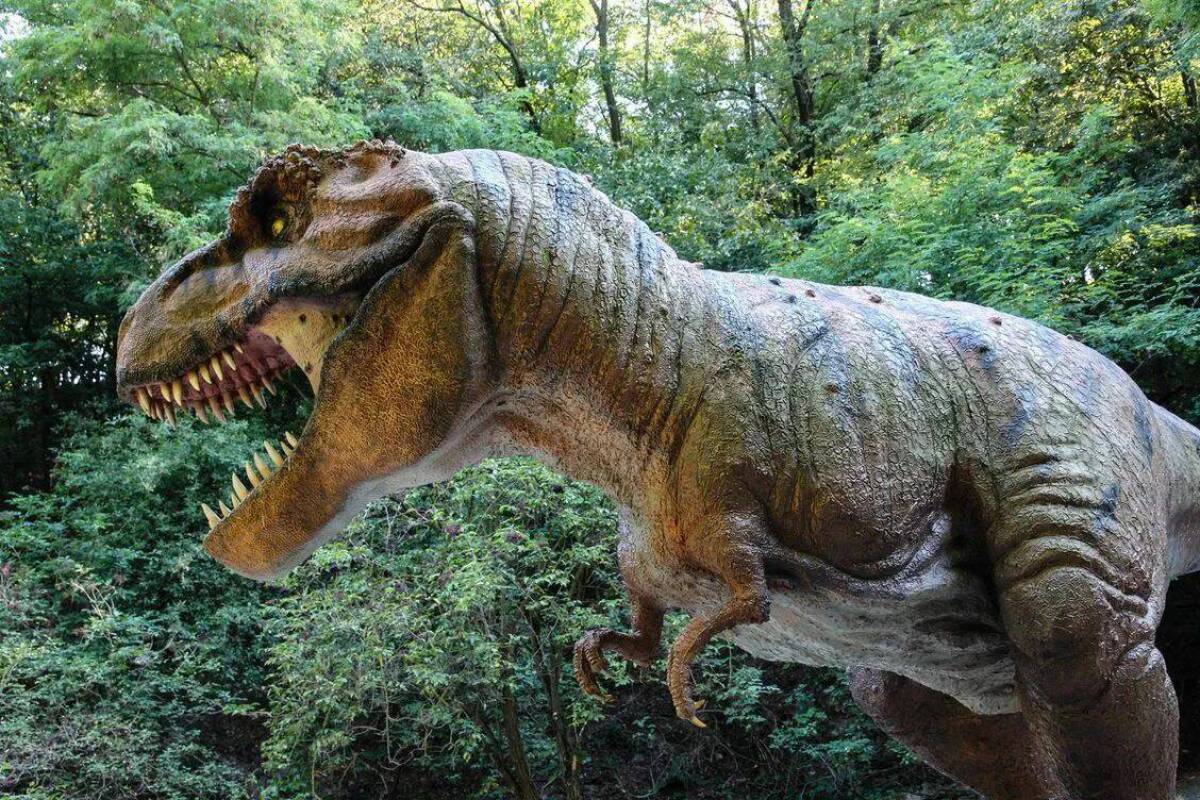 Большая динозавры #12