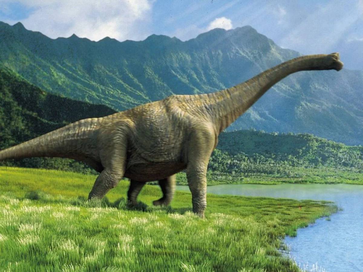 Большая динозавры #13