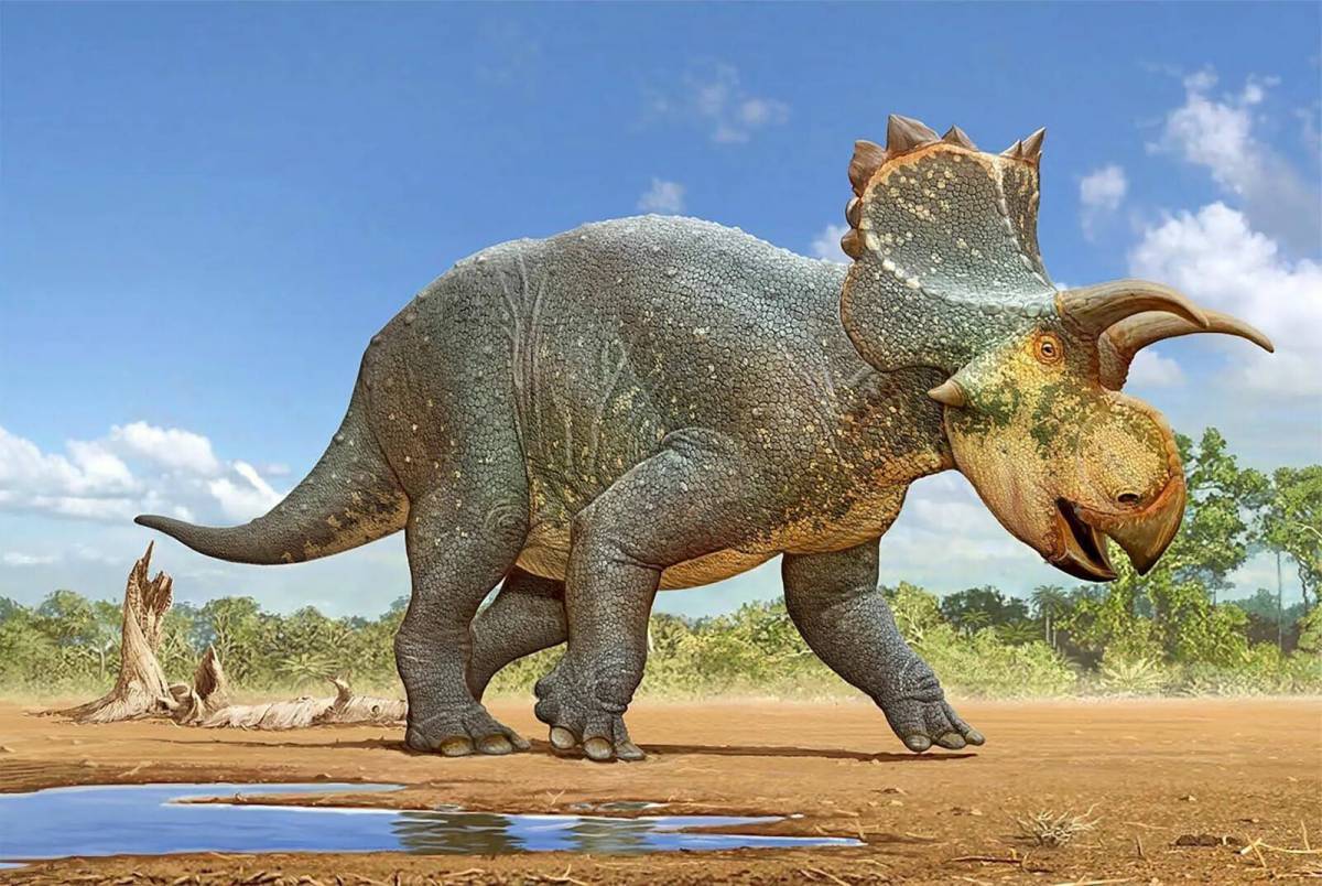 Большая динозавры #16