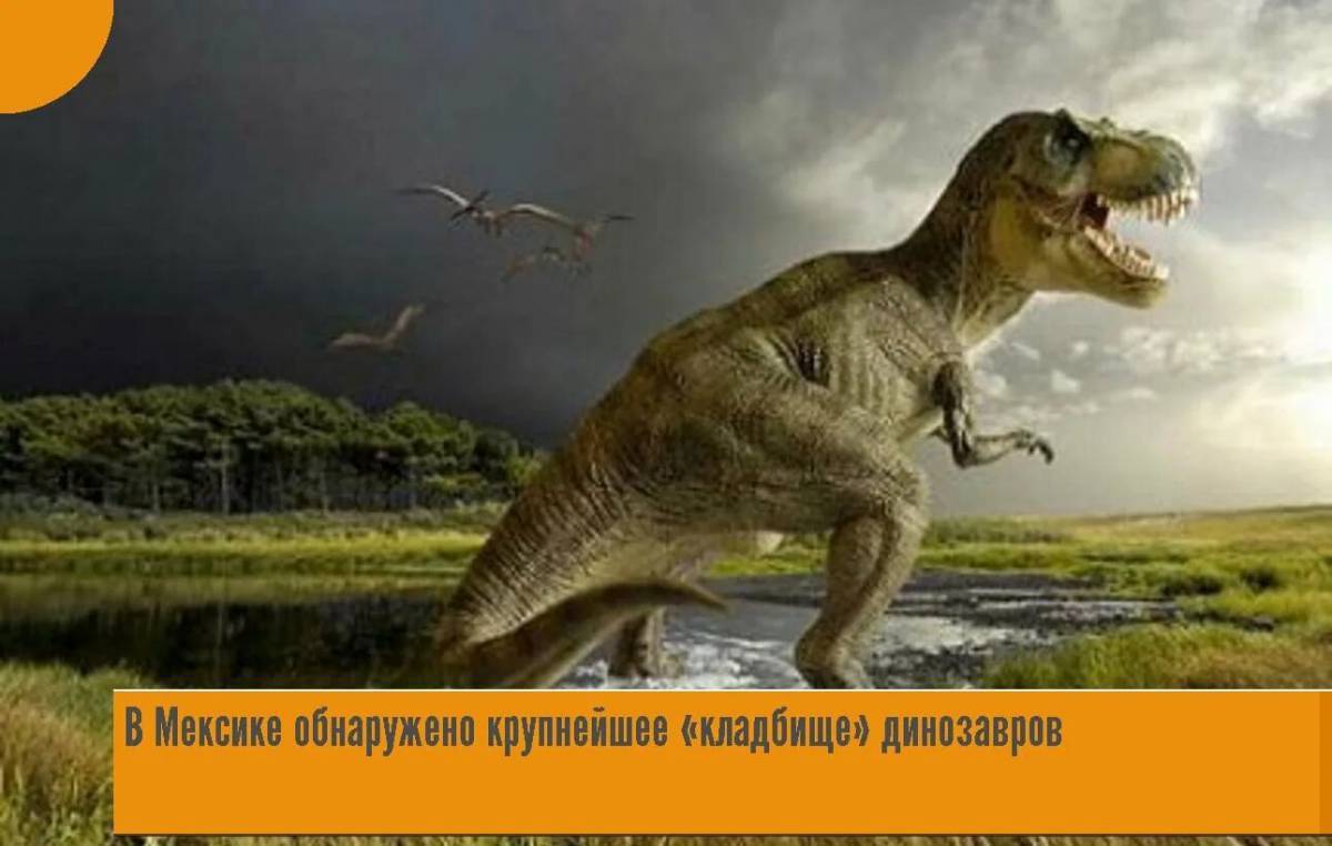 Большая динозавры #19