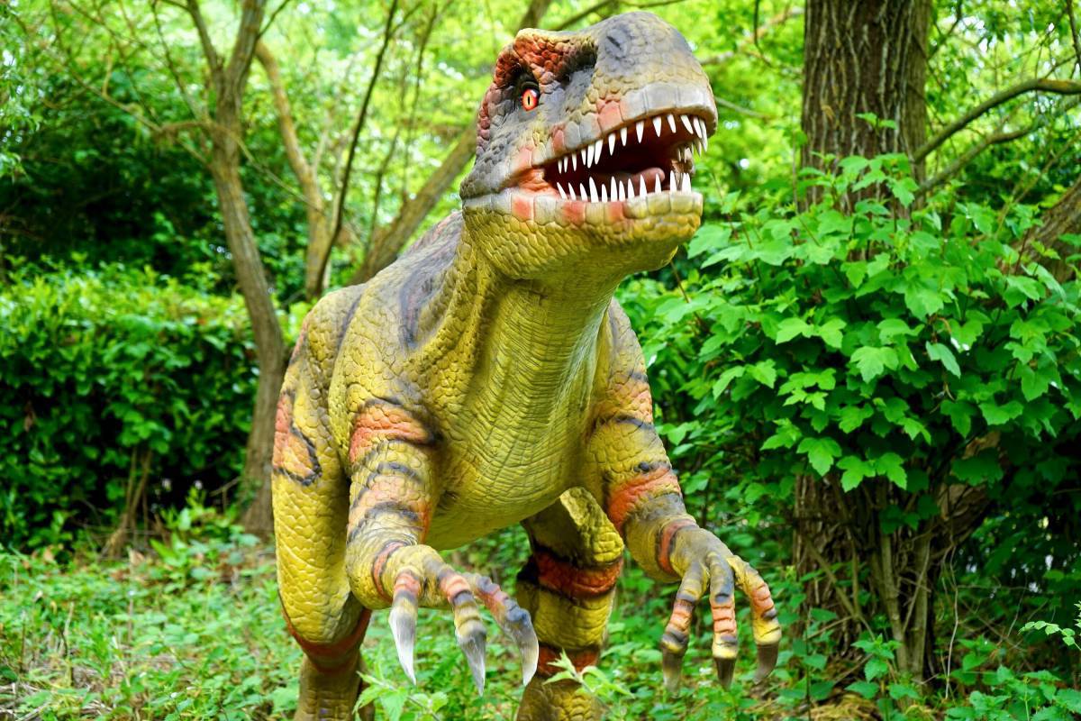 Большая динозавры #26