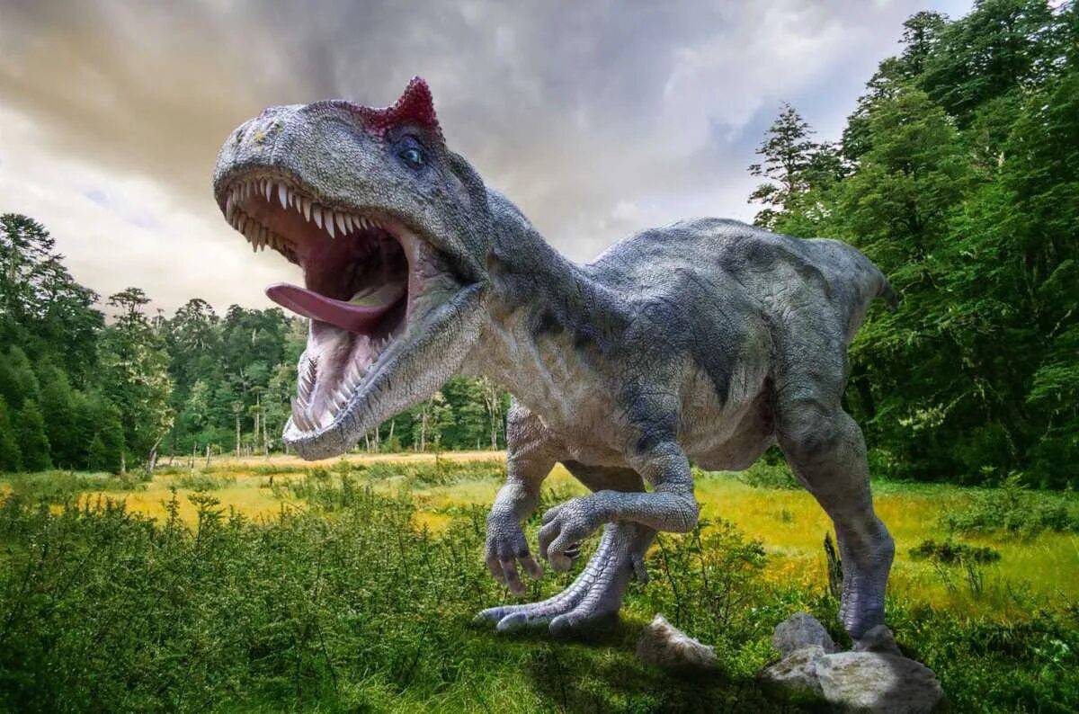 Большая динозавры #32
