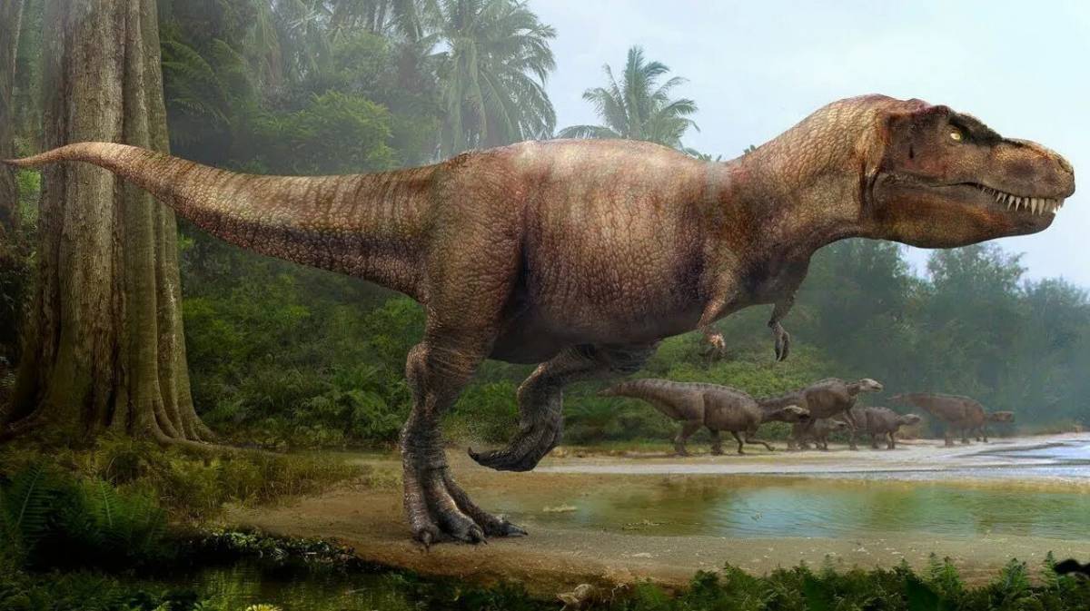Большая динозавры #34