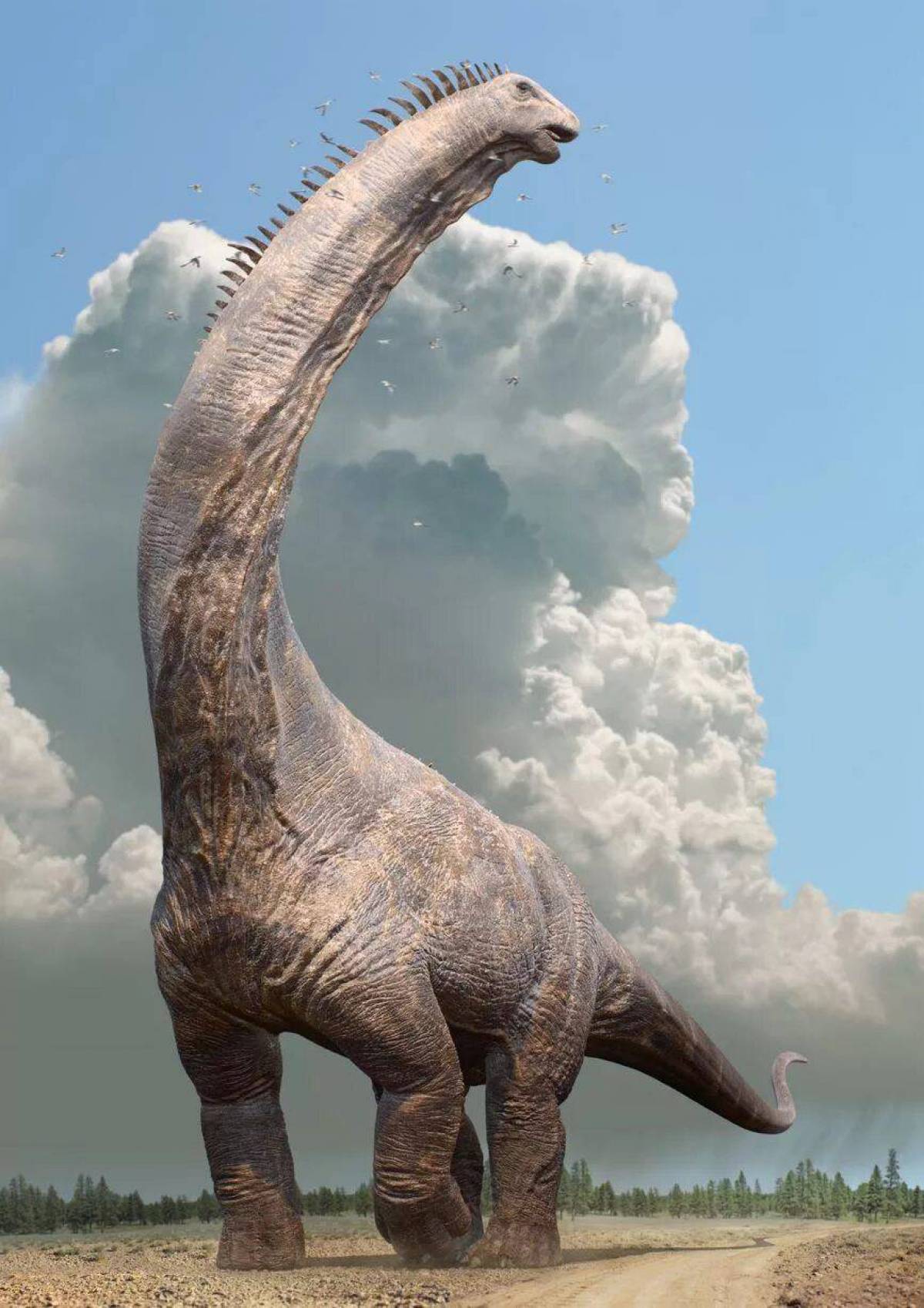 Большая динозавры #36