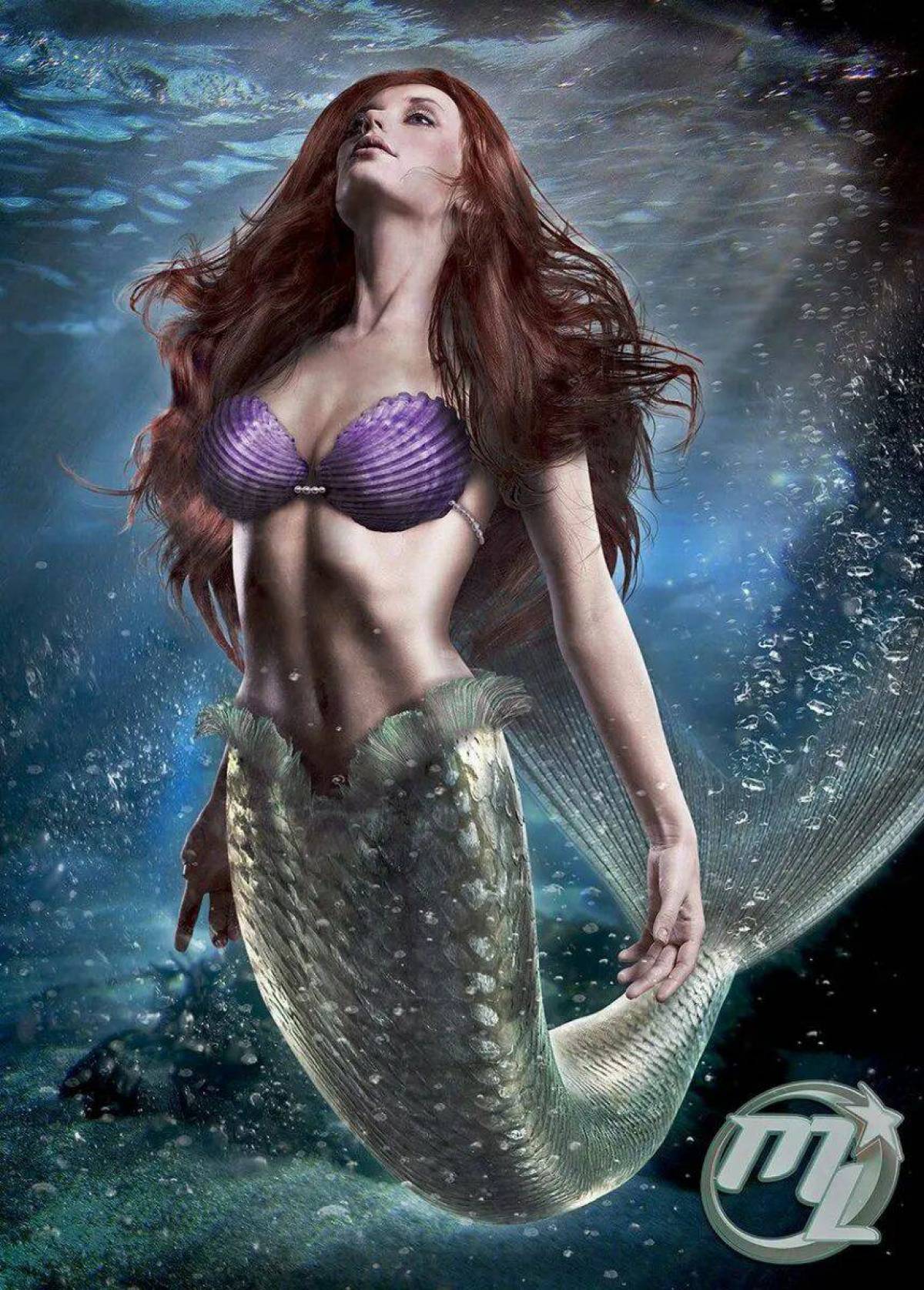 Mermaid's. Сирена Русалка Ариэль. Серена или сирена Русалка. Sirenia Русалка. Мермаид.