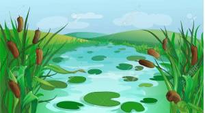 Раскраска болото для детей #1 #220471