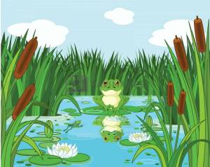 Раскраска болото для детей #5 #220475