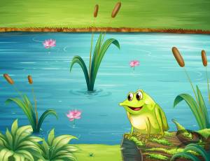 Раскраска болото для детей #15 #220485