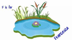 Раскраска болото для детей #32 #220502