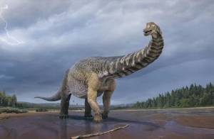 Раскраска большая динозавры #7 #220549