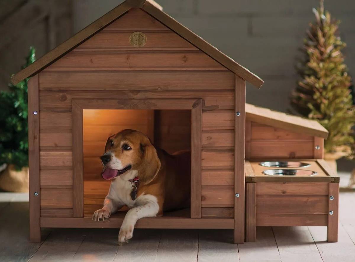 Домик для домашней собаки. Дом без собак. Собачья конура будка. Дом без собак. Конура для 2 собак.