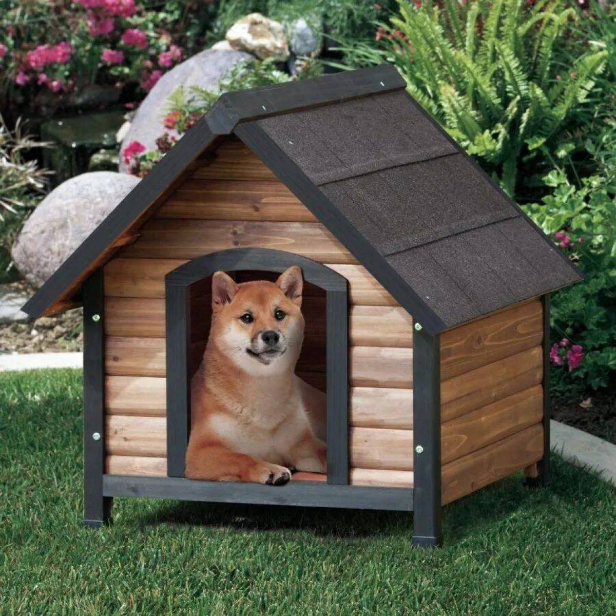 Собака дома отзывы. Собачья конура будка. Конура домик для собаки. Конура собак Dog House. Конура Бутка для собак.