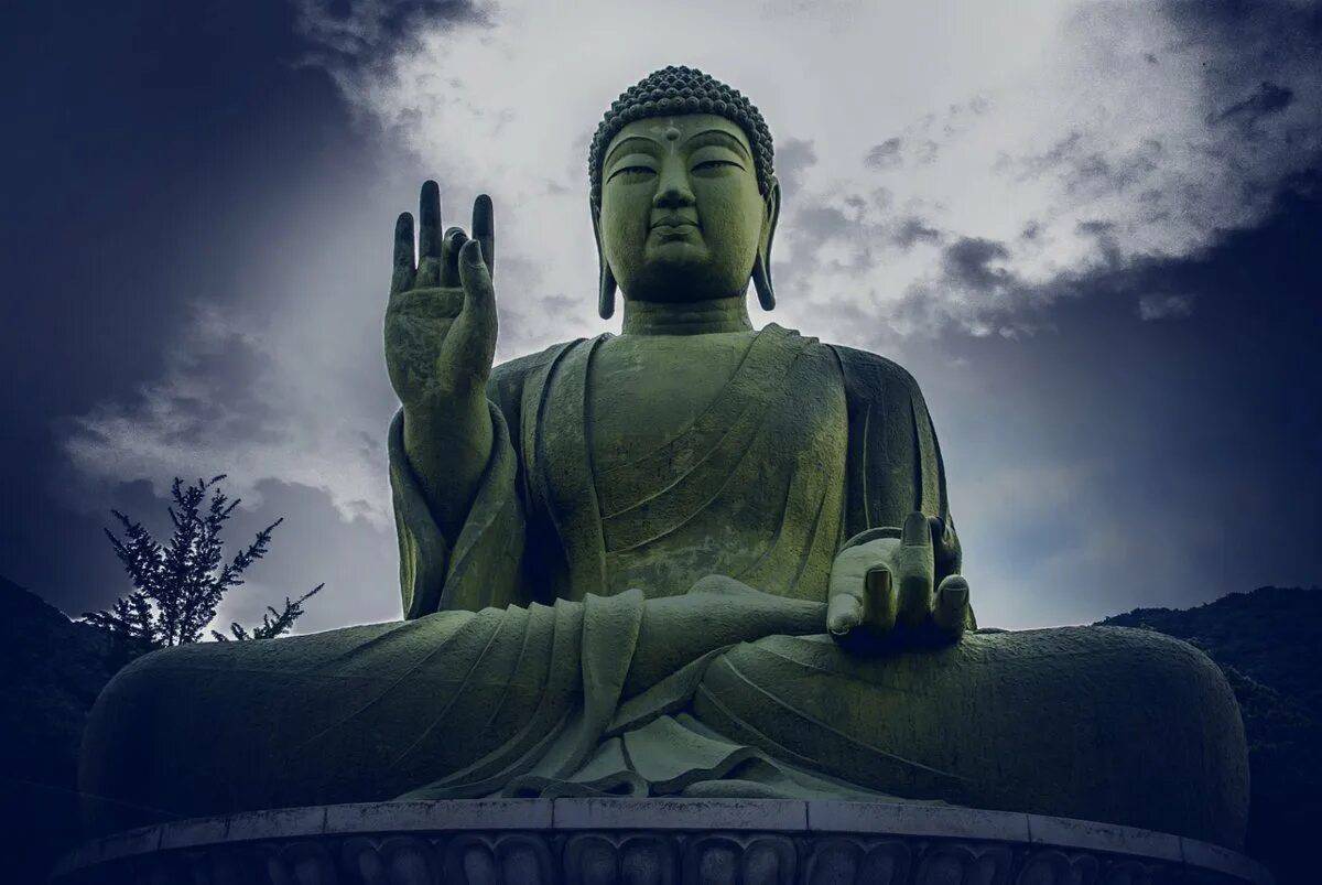 Будда #8