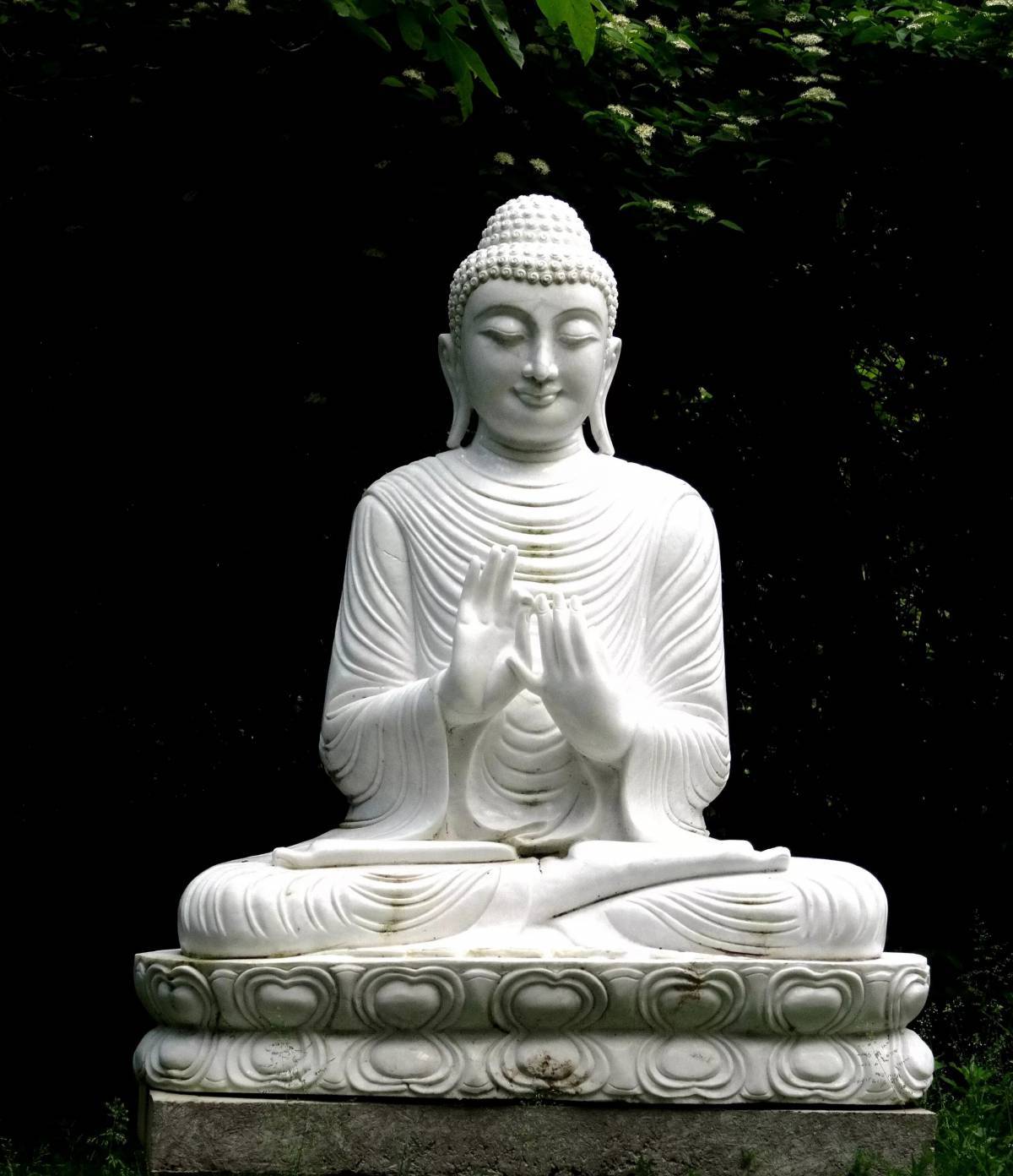 Будда #25