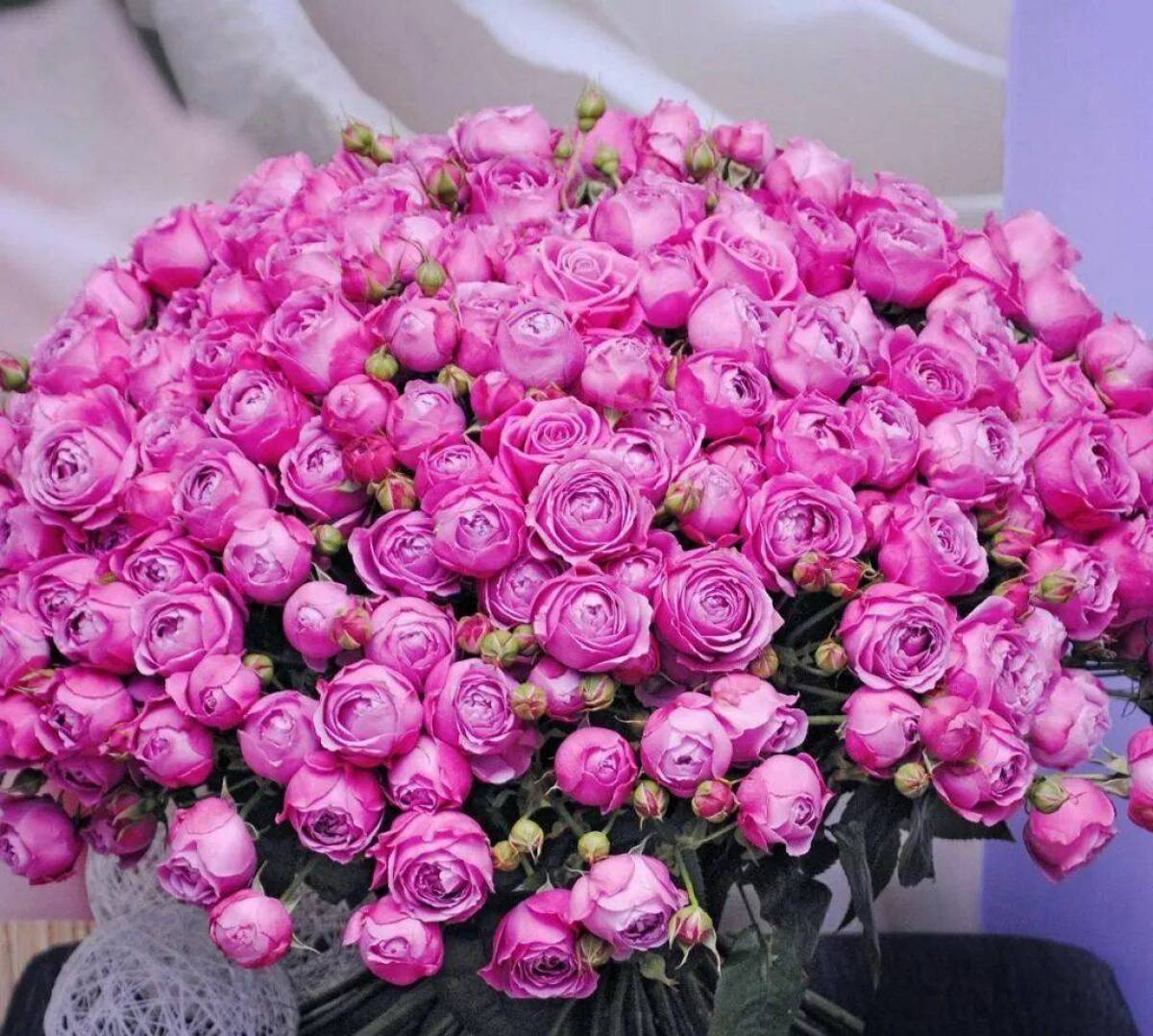 букет роз фото красивые необычные