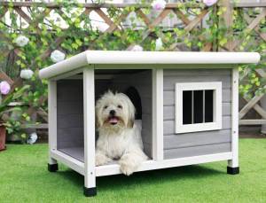 Раскраска будка для собаки #4 #225701
