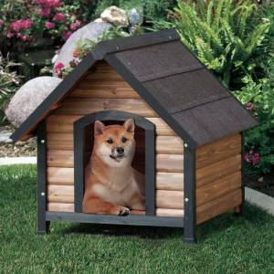 Раскраска будка для собаки #12 #225709