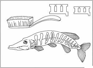 Раскраска буква щ для детей #23 #226568