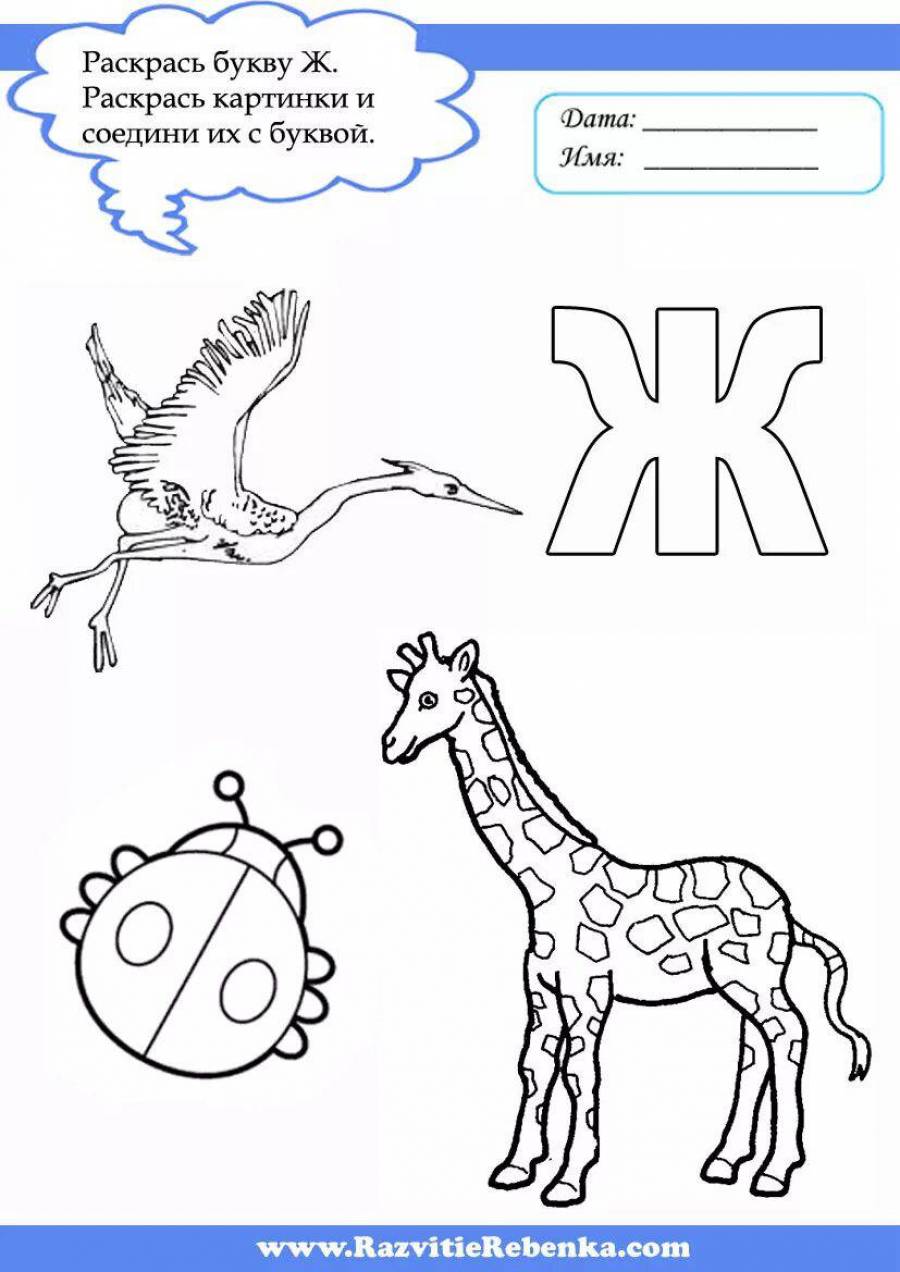 Ж 4 буквы. Буква ж задания. Задания для изучения буквы ж. Буква ж для дошкольников. Ж задания для дошкольников.