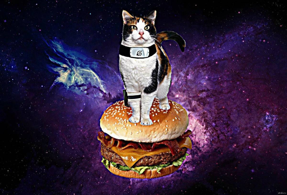 Бургер котик #7