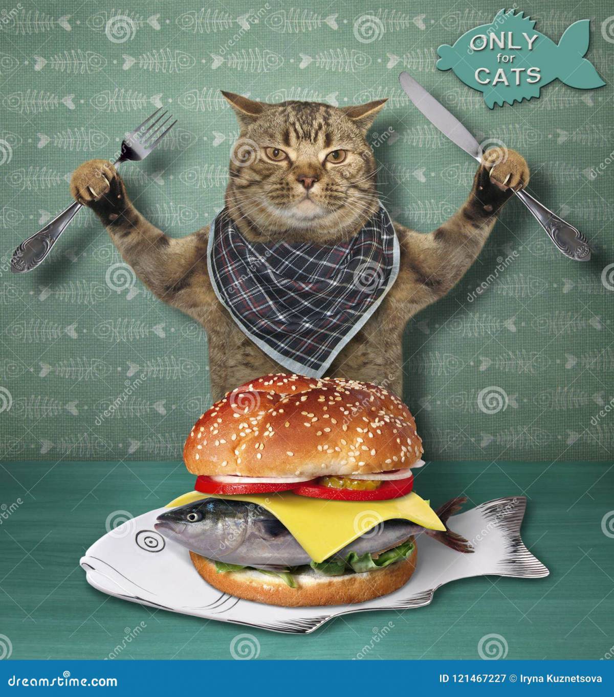 Бургер котик #33