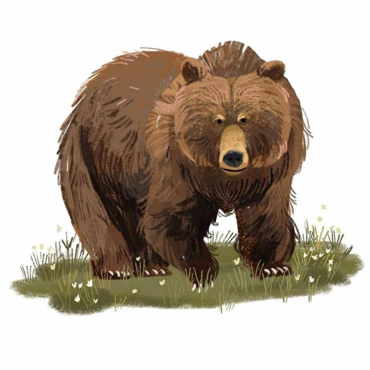 Бурый медведь для детей #11