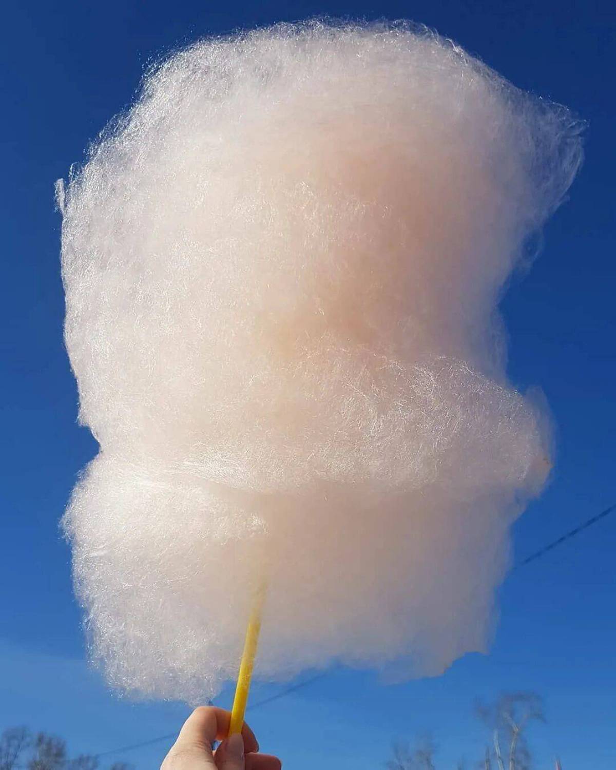 Cotton Candy сахарная вата