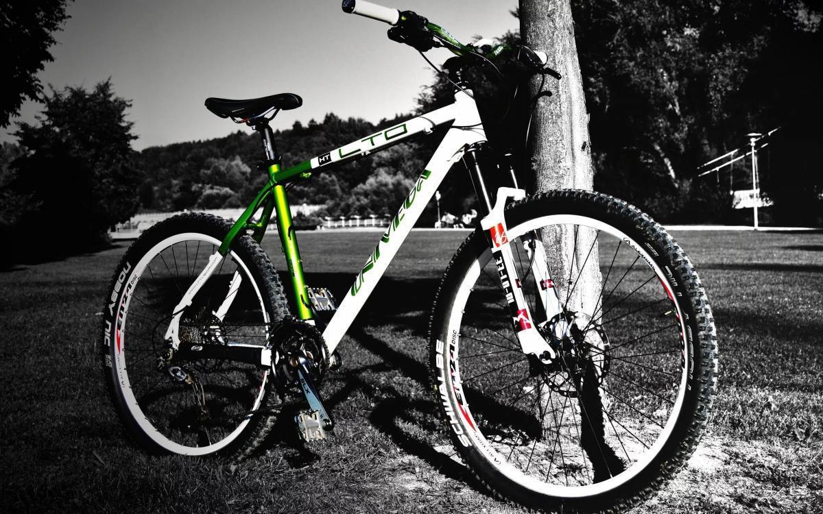 Современный велик. Маунтин байк велосипед. Белый МТБ велосипед. Горный (MTB) велосипед BMW M Bike (2010). Бело черный велосипед.