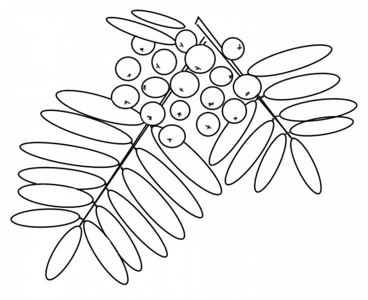 Ветка рябины рисунок шаблон