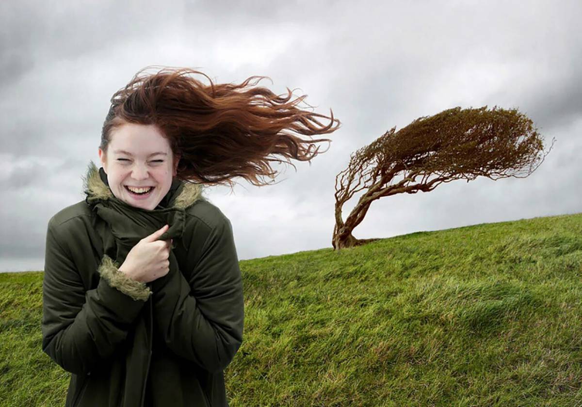картинки про погоду ветер