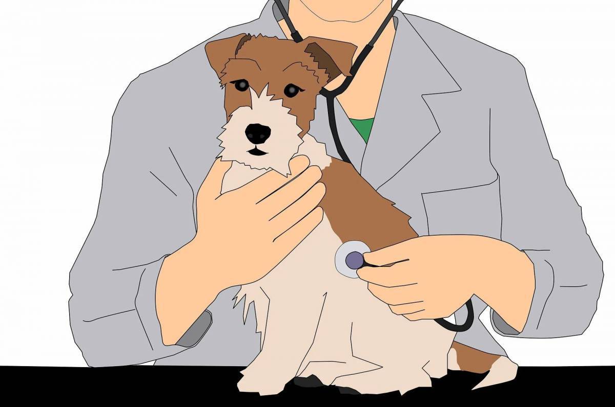 Ветеринар для детей #11
